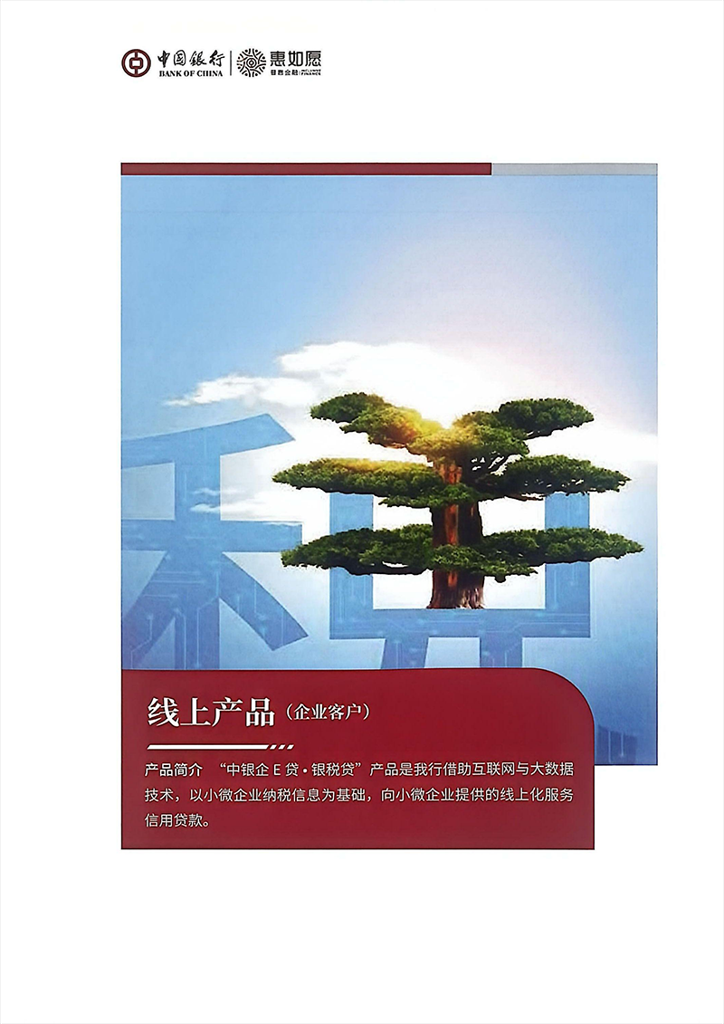 普惠金融产品手册_21.png
